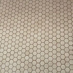 Meet your Posher, Carolyn